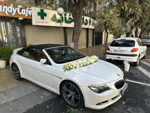 نمونه تزیین ماشین عروس (1)
