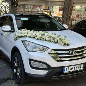 نمونه تزیین ماشین عروس (11)