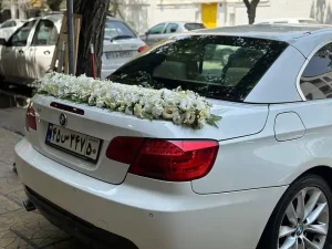 نمونه تزیین ماشین عروس (23)