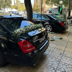 نمونه تزیین ماشین عروس (29)