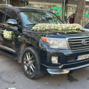 نمونه تزیین ماشین عروس (30)
