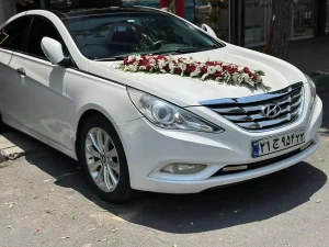 نمونه تزیین ماشین عروس (38)