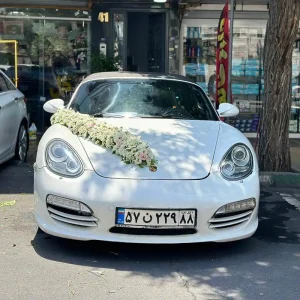 نمونه تزیین ماشین عروس (40)
