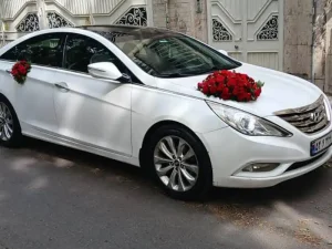 نمونه تزیین ماشین عروس (45)