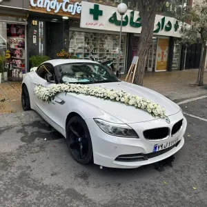 نمونه تزیین ماشین عروس (63)