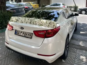 نمونه تزیین ماشین عروس (73)