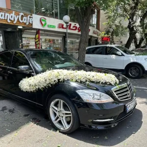 نمونه تزیین ماشین عروس (79)